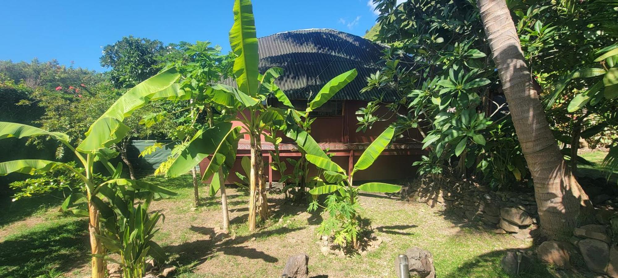 Location " La Pirogue " Maison D'Hotes A Moorea Haapiti Exterior photo